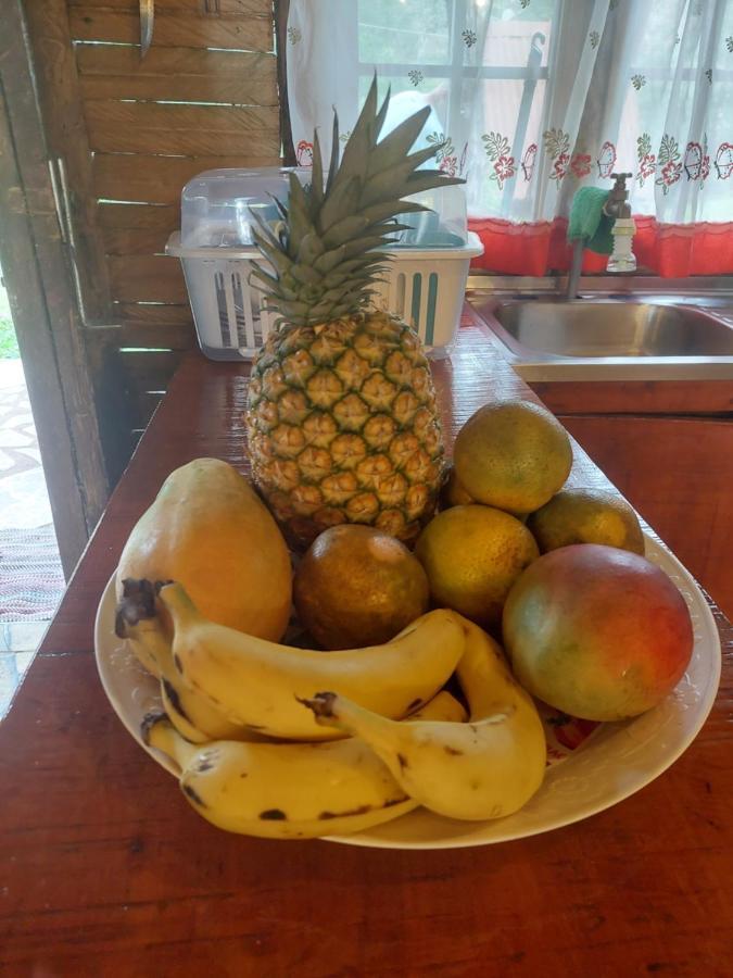 Cabana El Viejo Del Monte Venecia エクステリア 写真